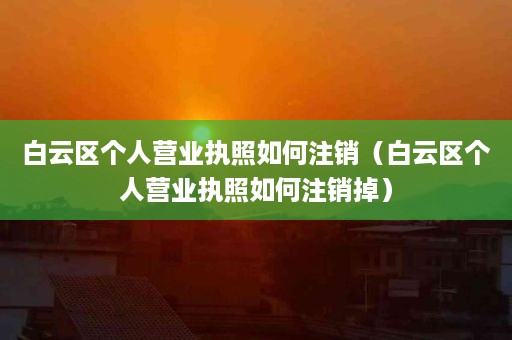 白云区个人营业执照如何注销（白云区个人营业执照如何注销掉）