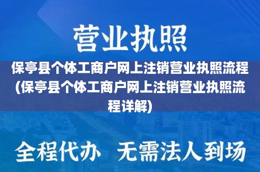 保亭县个体工商户网上注销营业执照流程(保亭县个体工商户网上注销营业执照流程详解)