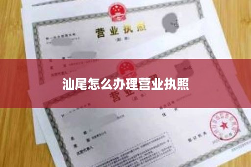 汕尾怎么办理营业执照