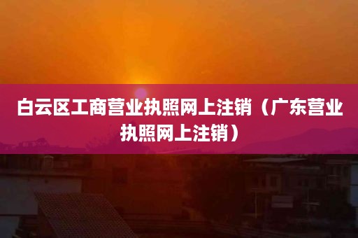 白云区工商营业执照网上注销（广东营业执照网上注销）
