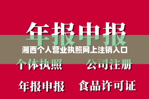 湘西个人营业执照网上注销入口