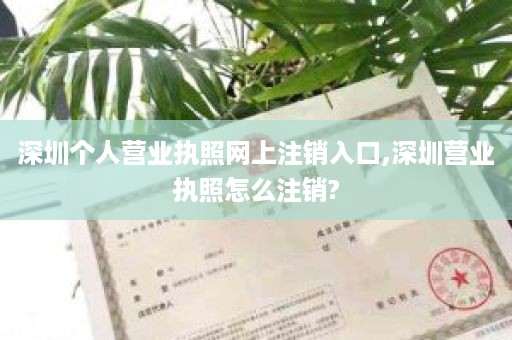 深圳个人营业执照网上注销入口,深圳营业执照怎么注销?