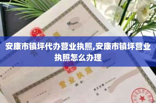 安康市镇坪代办营业执照,安康市镇坪营业执照怎么办理