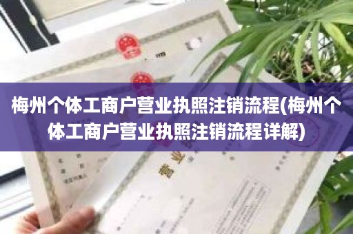 梅州个体工商户营业执照注销流程(梅州个体工商户营业执照注销流程详解)