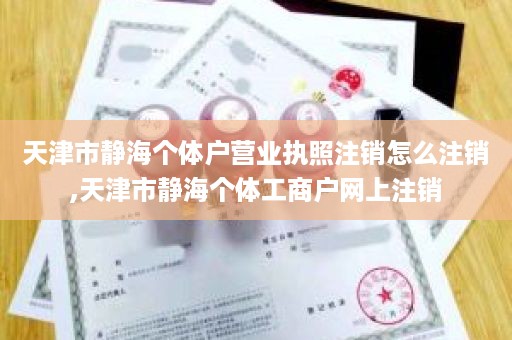 天津市静海个体户营业执照注销怎么注销,天津市静海个体工商户网上注销