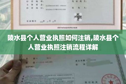 陵水县个人营业执照如何注销,陵水县个人营业执照注销流程详解