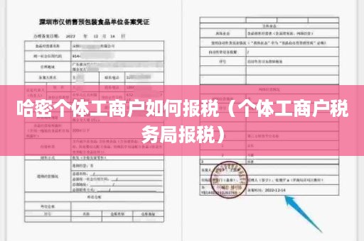 哈密个体工商户如何报税（个体工商户税务局报税）