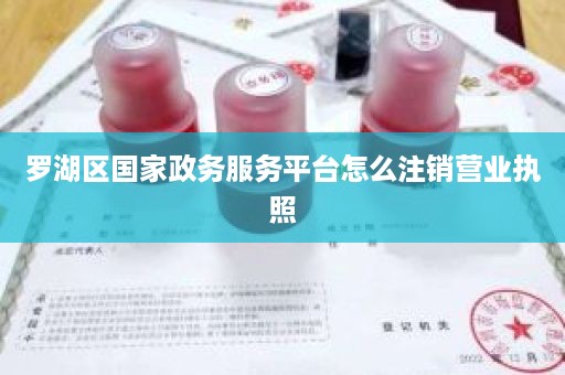 罗湖区国家政务服务平台怎么注销营业执照