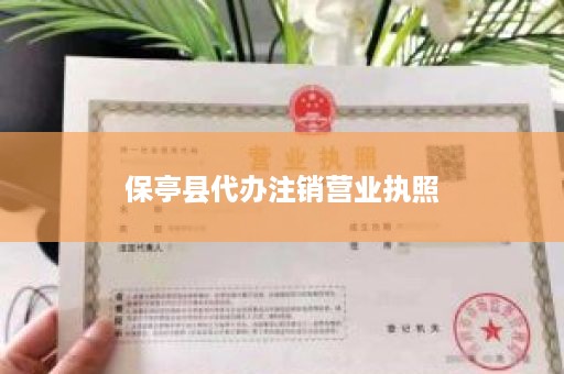 保亭县代办注销营业执照