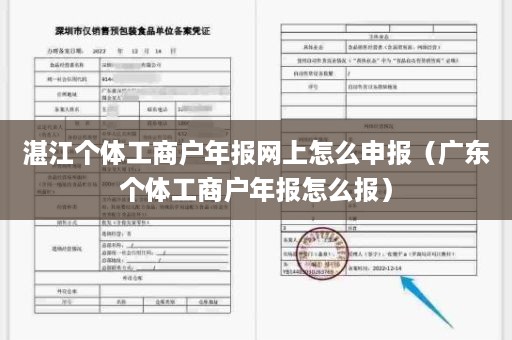 湛江个体工商户年报网上怎么申报（广东个体工商户年报怎么报）
