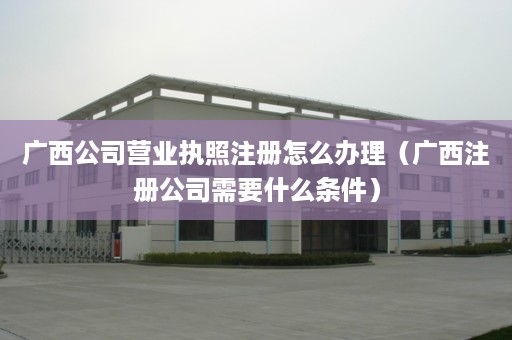 广西公司营业执照注册怎么办理（广西注册公司需要什么条件）