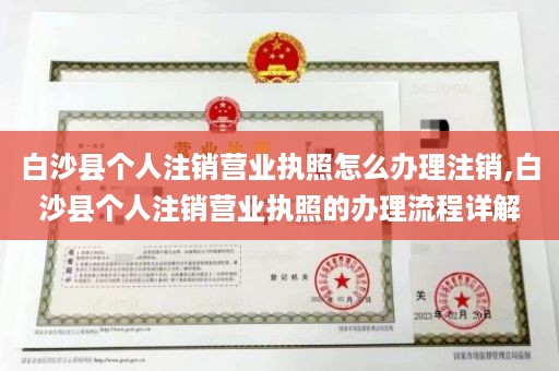 白沙县个人注销营业执照怎么办理注销,白沙县个人注销营业执照的办理流程详解