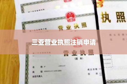 三亚营业执照注销申请