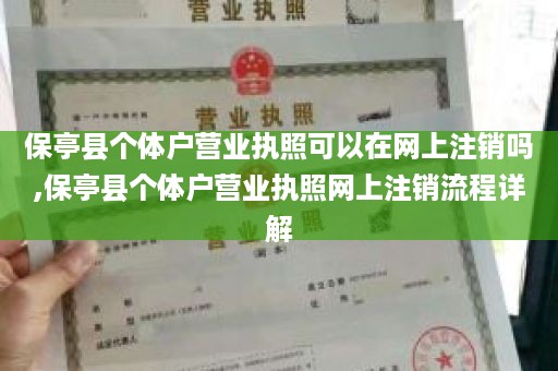 保亭县个体户营业执照可以在网上注销吗,保亭县个体户营业执照网上注销流程详解