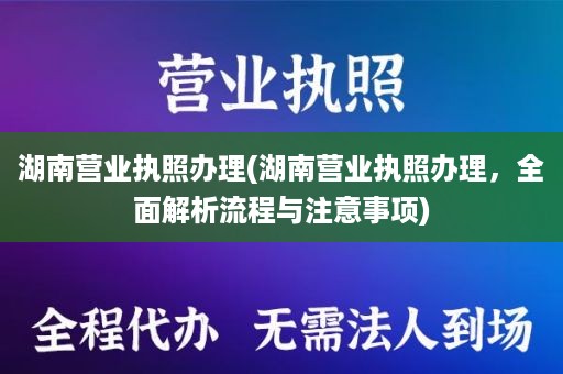 湖南营业执照办理(湖南营业执照办理，全面解析流程与注意事项)