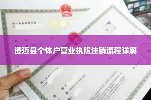 澄迈县个体户营业执照注销流程详解