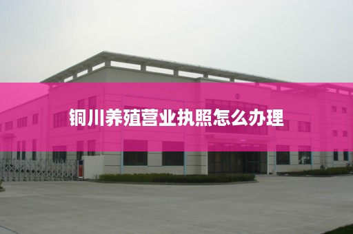 铜川养殖营业执照怎么办理