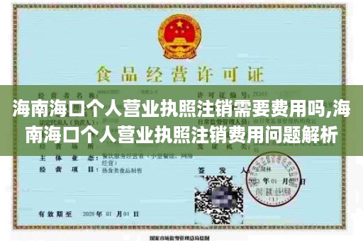 海南海口个人营业执照注销需要费用吗,海南海口个人营业执照注销费用问题解析