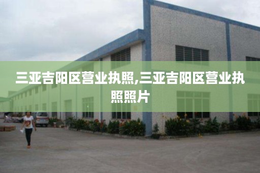 三亚吉阳区营业执照,三亚吉阳区营业执照照片