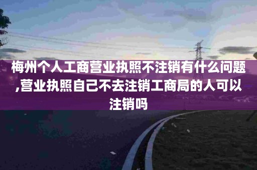 梅州个人工商营业执照不注销有什么问题,营业执照自己不去注销工商局的人可以注销吗