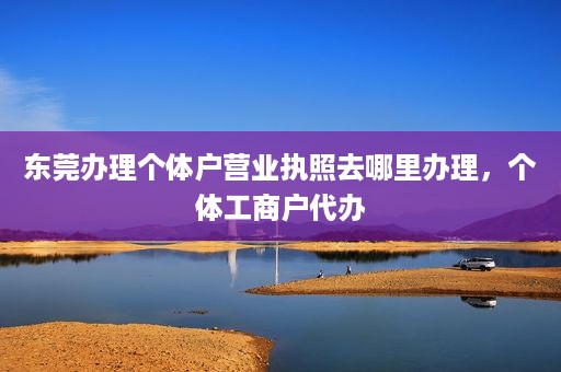 东莞办理个体户营业执照去哪里办理，个体工商户代办