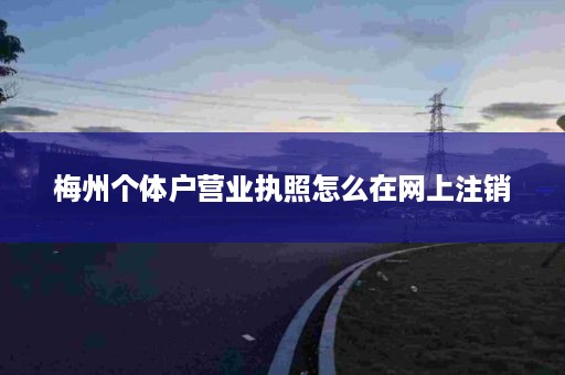 梅州个体户营业执照怎么在网上注销