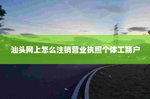 汕头网上怎么注销营业执照个体工商户
