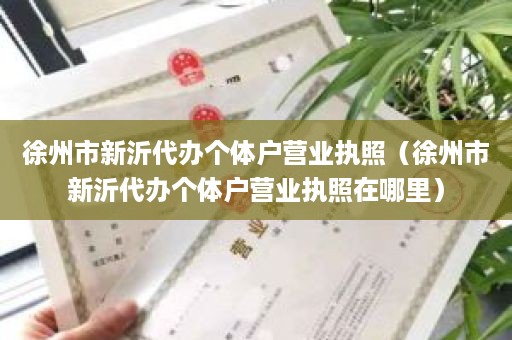 徐州市新沂代办个体户营业执照（徐州市新沂代办个体户营业执照在哪里）