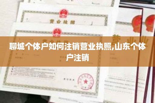 聊城个体户如何注销营业执照,山东个体户注销