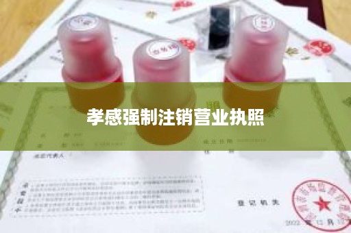 孝感强制注销营业执照