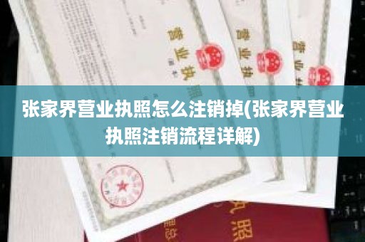 张家界营业执照怎么注销掉(张家界营业执照注销流程详解)