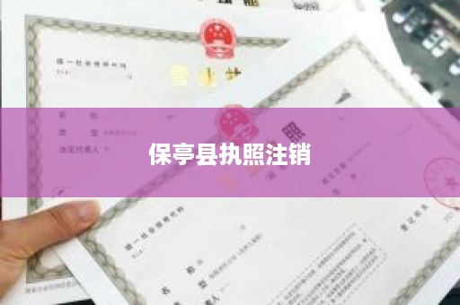 保亭县执照注销