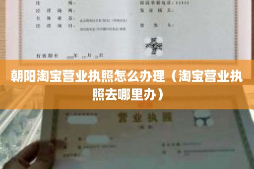 朝阳淘宝营业执照怎么办理（淘宝营业执照去哪里办）