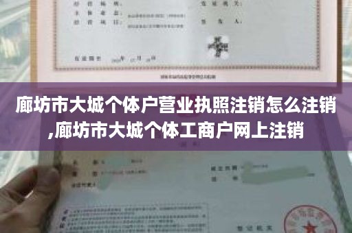 廊坊市大城个体户营业执照注销怎么注销,廊坊市大城个体工商户网上注销