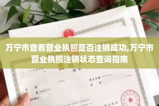 万宁市查看营业执照是否注销成功,万宁市营业执照注销状态查询指南