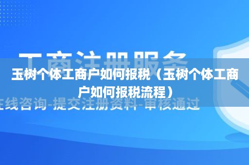 玉树个体工商户如何报税（玉树个体工商户如何报税流程）