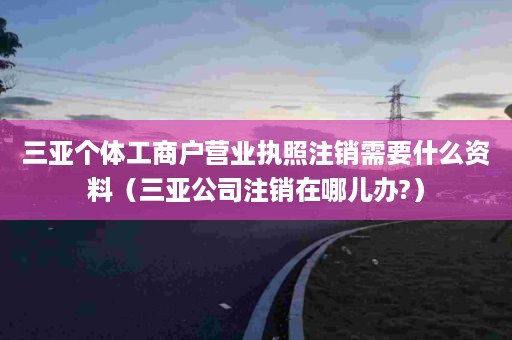 三亚个体工商户营业执照注销需要什么资料（三亚公司注销在哪儿办?）