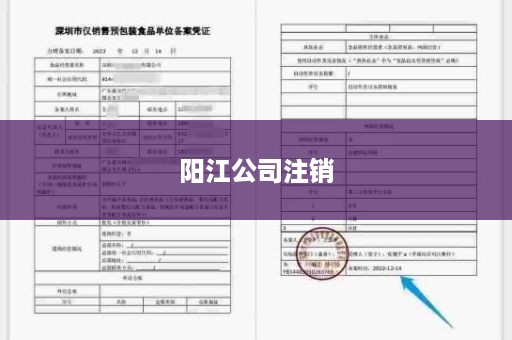 阳江公司注销