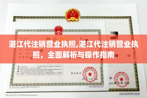 湛江代注销营业执照,湛江代注销营业执照，全面解析与操作指南