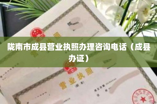 陇南市成县营业执照办理咨询电话（成县办证）