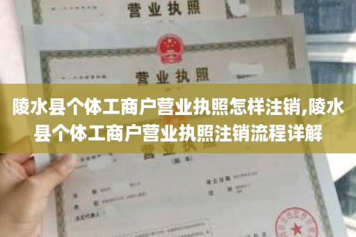 陵水县个体工商户营业执照怎样注销,陵水县个体工商户营业执照注销流程详解