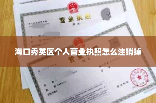 海口秀英区个人营业执照怎么注销掉