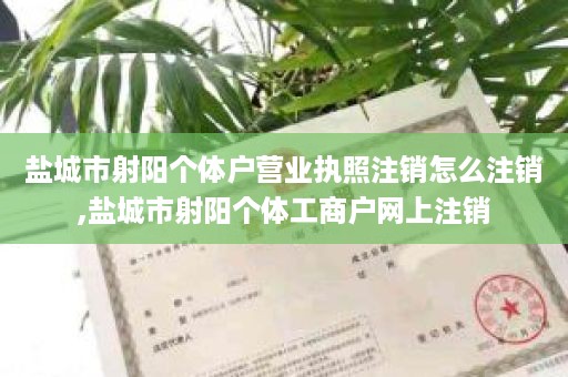 盐城市射阳个体户营业执照注销怎么注销,盐城市射阳个体工商户网上注销