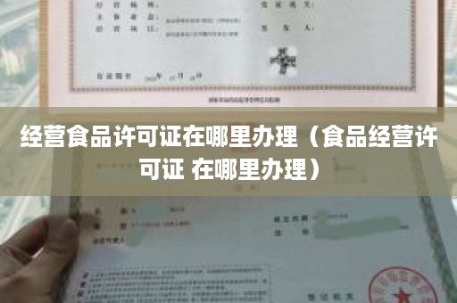 经营食品许可证在哪里办理（食品经营许可证 在哪里办理）
