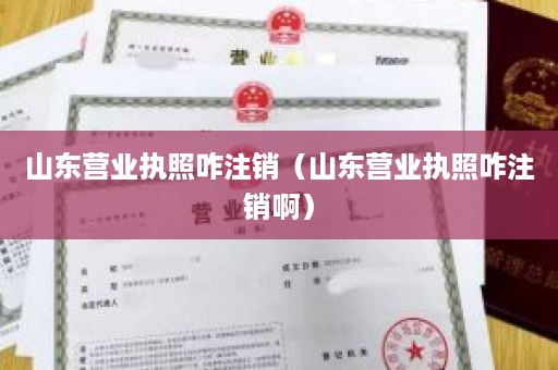 山东营业执照咋注销（山东营业执照咋注销啊）