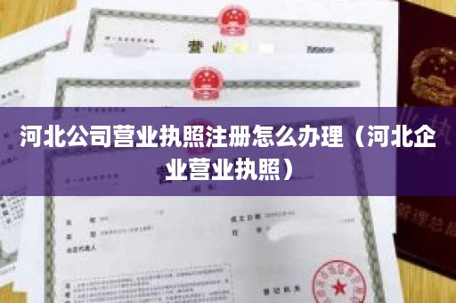 河北公司营业执照注册怎么办理（河北企业营业执照）