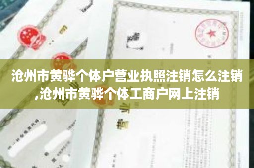 沧州市黄骅个体户营业执照注销怎么注销,沧州市黄骅个体工商户网上注销