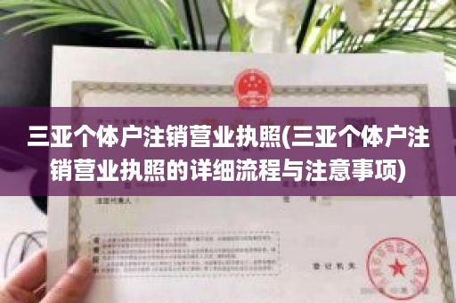 三亚个体户注销营业执照(三亚个体户注销营业执照的详细流程与注意事项)