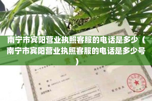 南宁市宾阳营业执照客服的电话是多少（南宁市宾阳营业执照客服的电话是多少号）