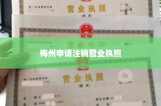 梅州申请注销营业执照
